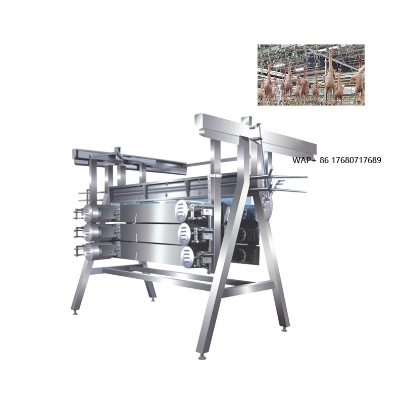 Chicken Plucker Machine - Kippenplukkermachine slachtafvalverwerking commerciële kippenplukkers