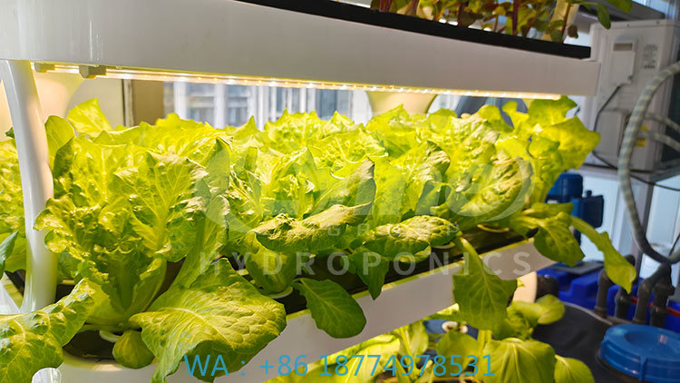 Agriculture Farming System - c Landbouwmachine voor het kweken van