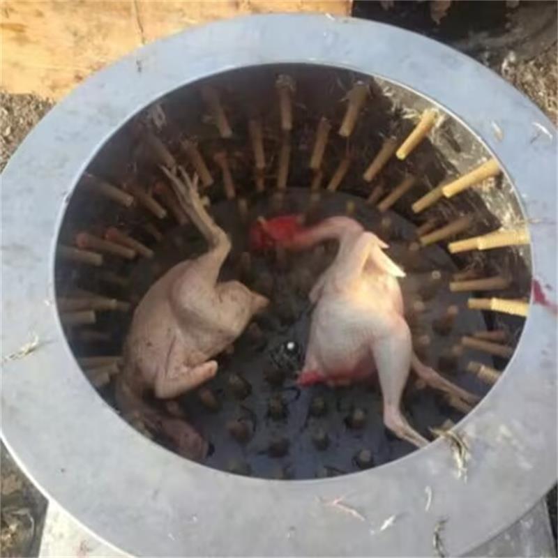 Chicken Plucker Machine - Nieuwe Kwartelduiven Vogel Ontharing Machine Veren