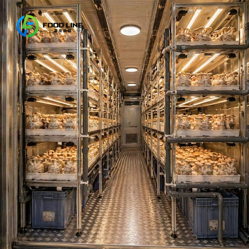 Modulaire containerfarm voor b - Hydroponic Farming Agriculture recensie en prijs