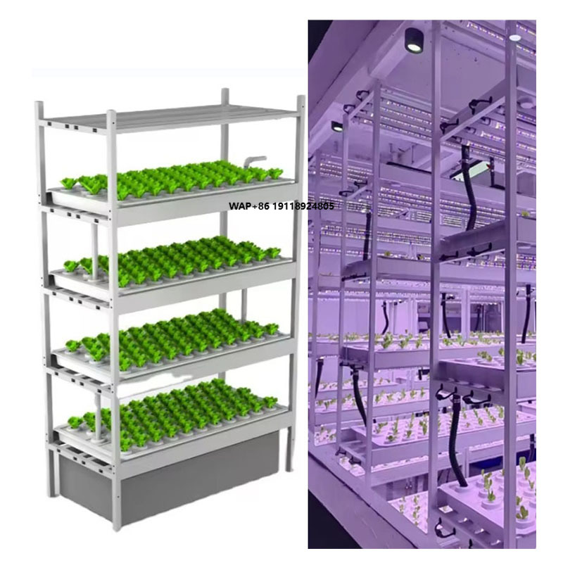 Verticaal boerderij hydroponis - Hydroponic Farming Agriculture recensie en prijs