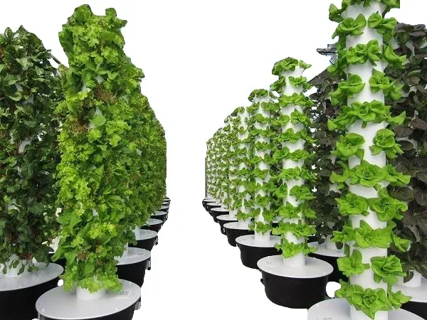 Landbouwkassen verticaal landb - Hydroponic Farming Agriculture recensie en prijs