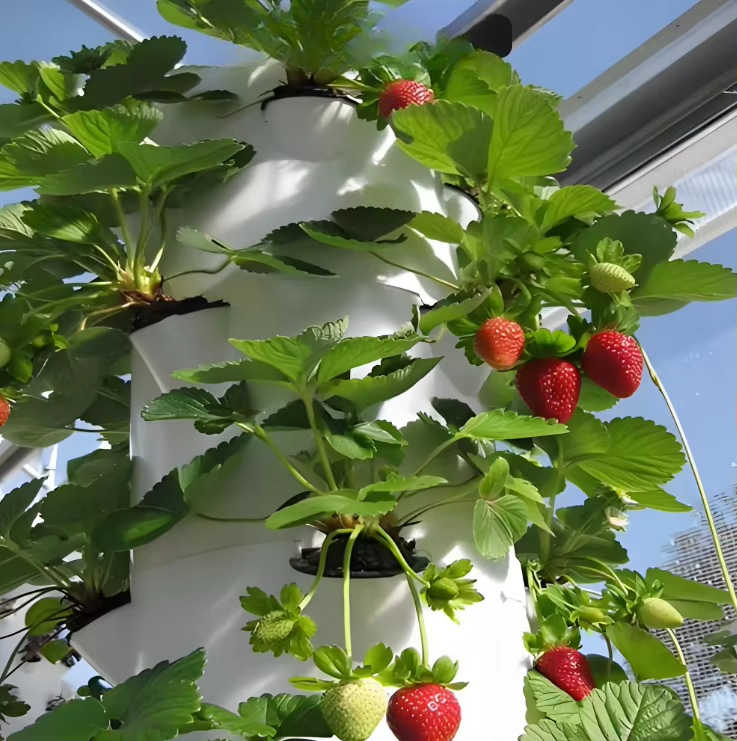 Modulair hydroponisch groeisys - Hydroponic Farming Agriculture recensie en prijs