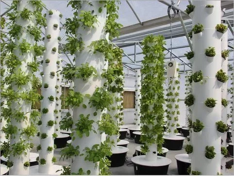 Hoge kwaliteit agrarische huis - Hydroponic Farming Agriculture recensie en prijs