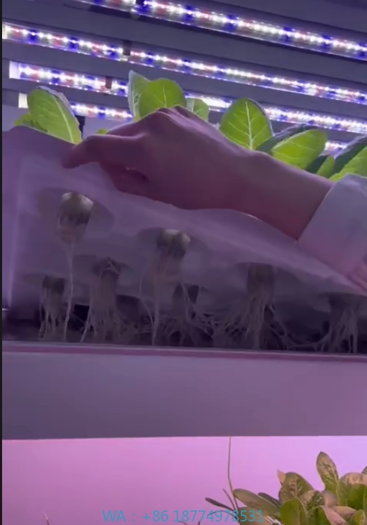 f Kas Landbouwuitrusting Groei - Agriculture Farming System recensie en prijs
