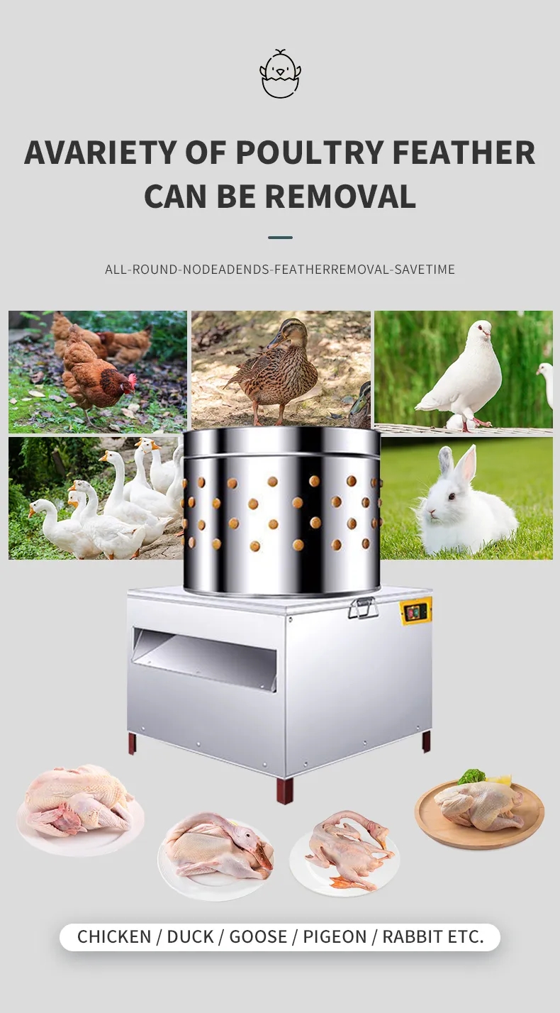 HHD Medium Size SD50 Kippenplu - Chicken Plucker Machine recensie en prijs
