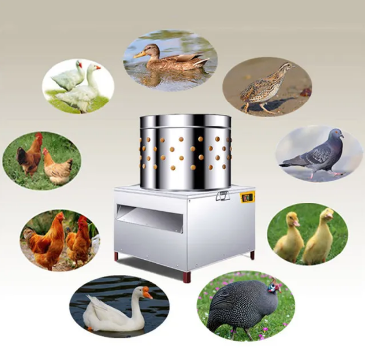 Commerciële automatische kippe - Chicken Plucker Machine recensie en prijs
