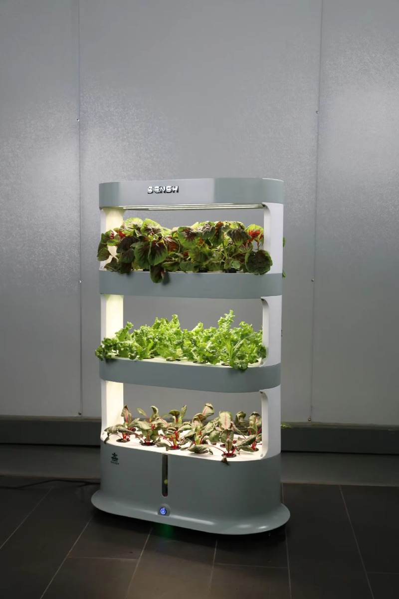 Fabrieksgroothandel unieke hyd - Hydroponic Farming Agriculture recensie en prijs