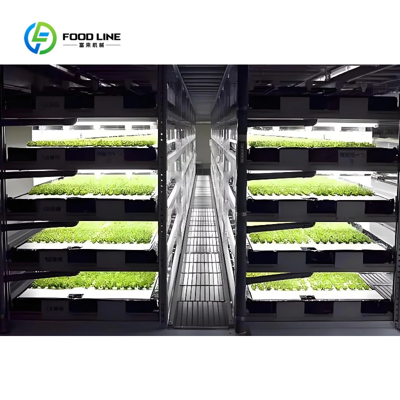 Op maat gemaakte slimme vertic - Hydroponic Farming Agriculture recensie en prijs