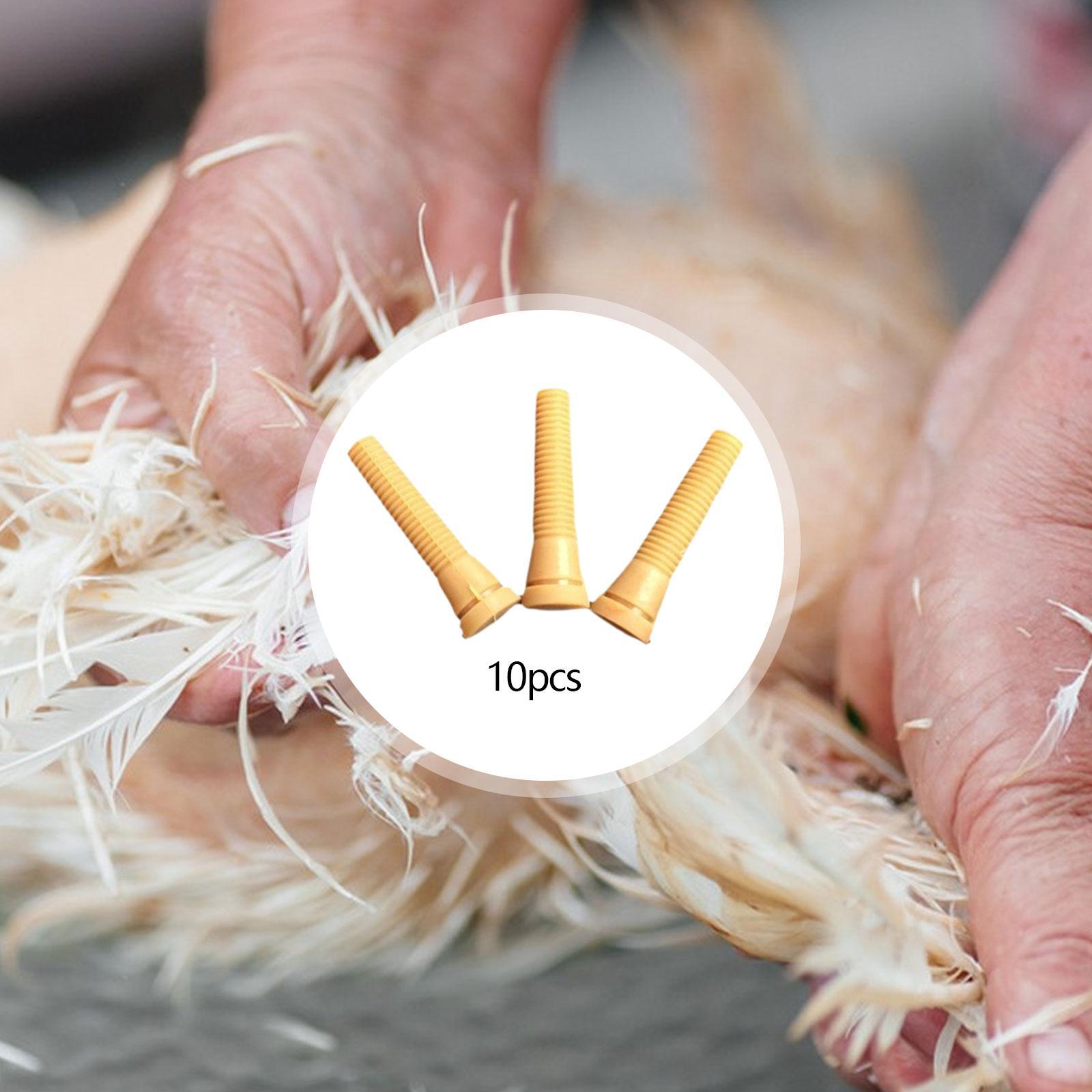 Plukkermachine onderdelen rubb - Chicken Plucker Machine recensie en prijs