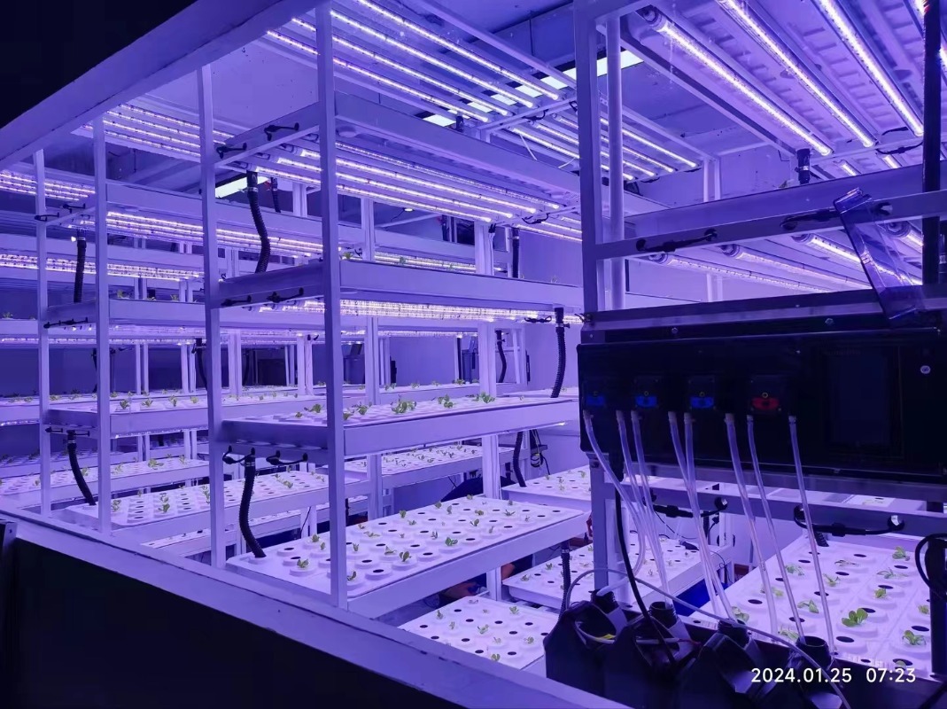 Klein verticaal hydrocultuur t - Hydroponic Farming Agriculture recensie en prijs