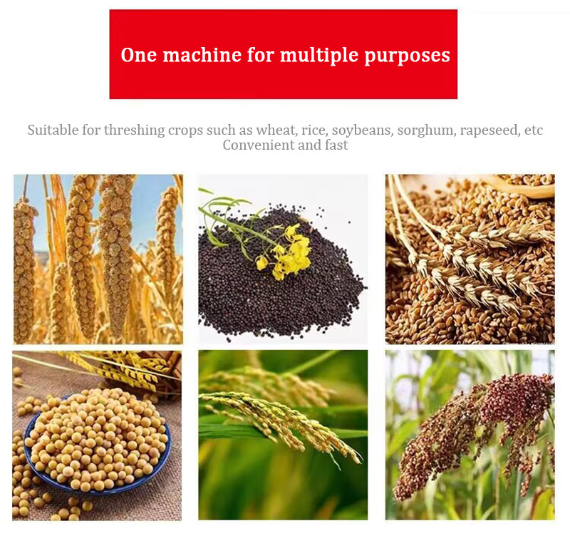 Maïs Rijst Tarwe Maïs Bean Dor - Rice Thresher Machine recensie en prijs