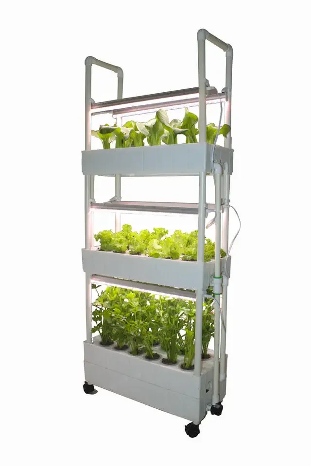 Aangepaste hydroponische kweek - Hydroponic Farming Agriculture recensie en prijs