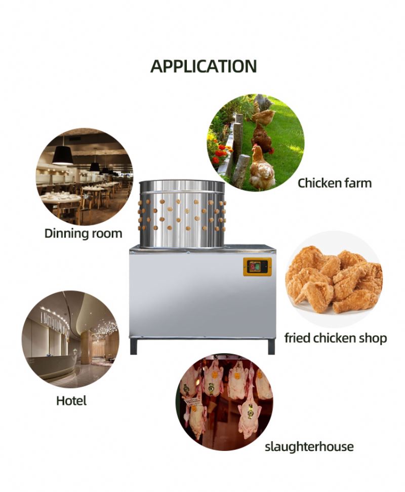 ISO-goedgekeurde plukmachine v - Chicken Plucker Machine recensie en prijs